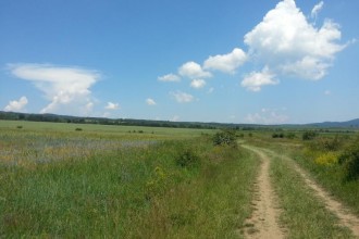 Витоша - 100 км